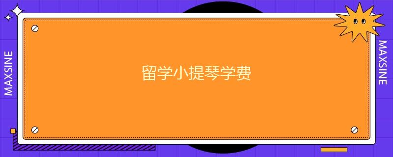 留學(xué)小提琴學(xué)費(fèi)