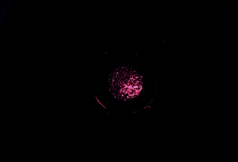 1547725441516153.gif