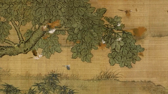 1555900583977613.gif