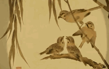 微信圖片_20190419103353.gif