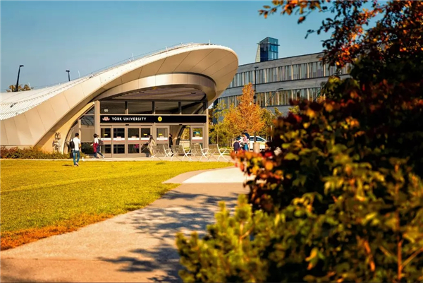 加拿大約克大學世界排名怎么樣？