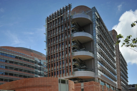 香港大學(xué)申請條件是什么？